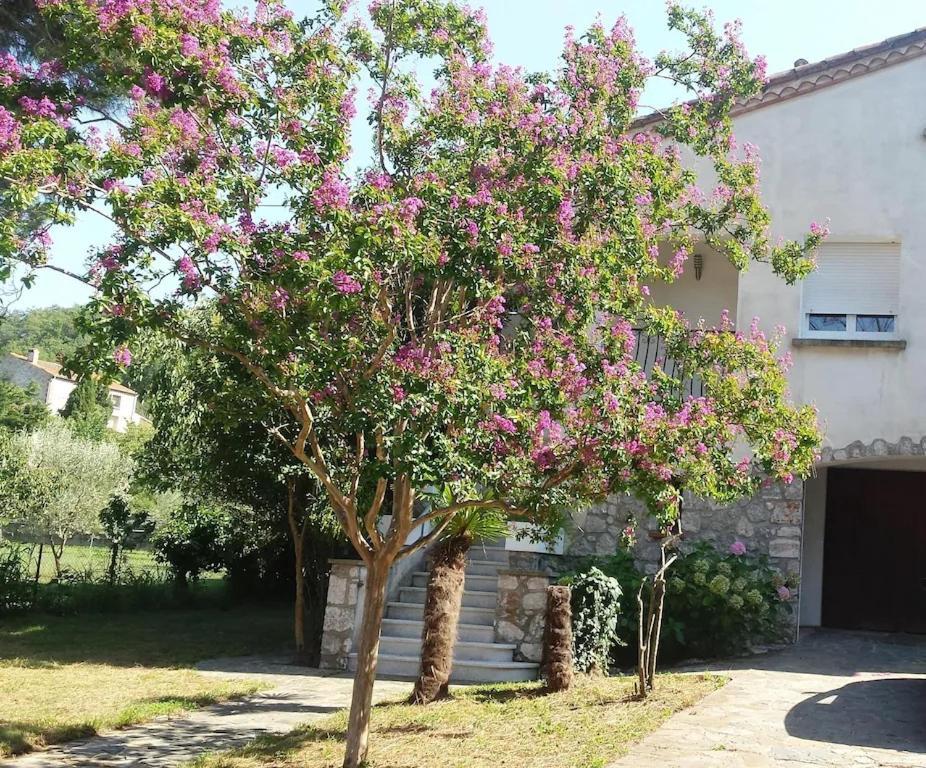 Havre De Paix Entre Mer Et Montagne A Ceret Pour 4 A 5 Pers Kültér fotó